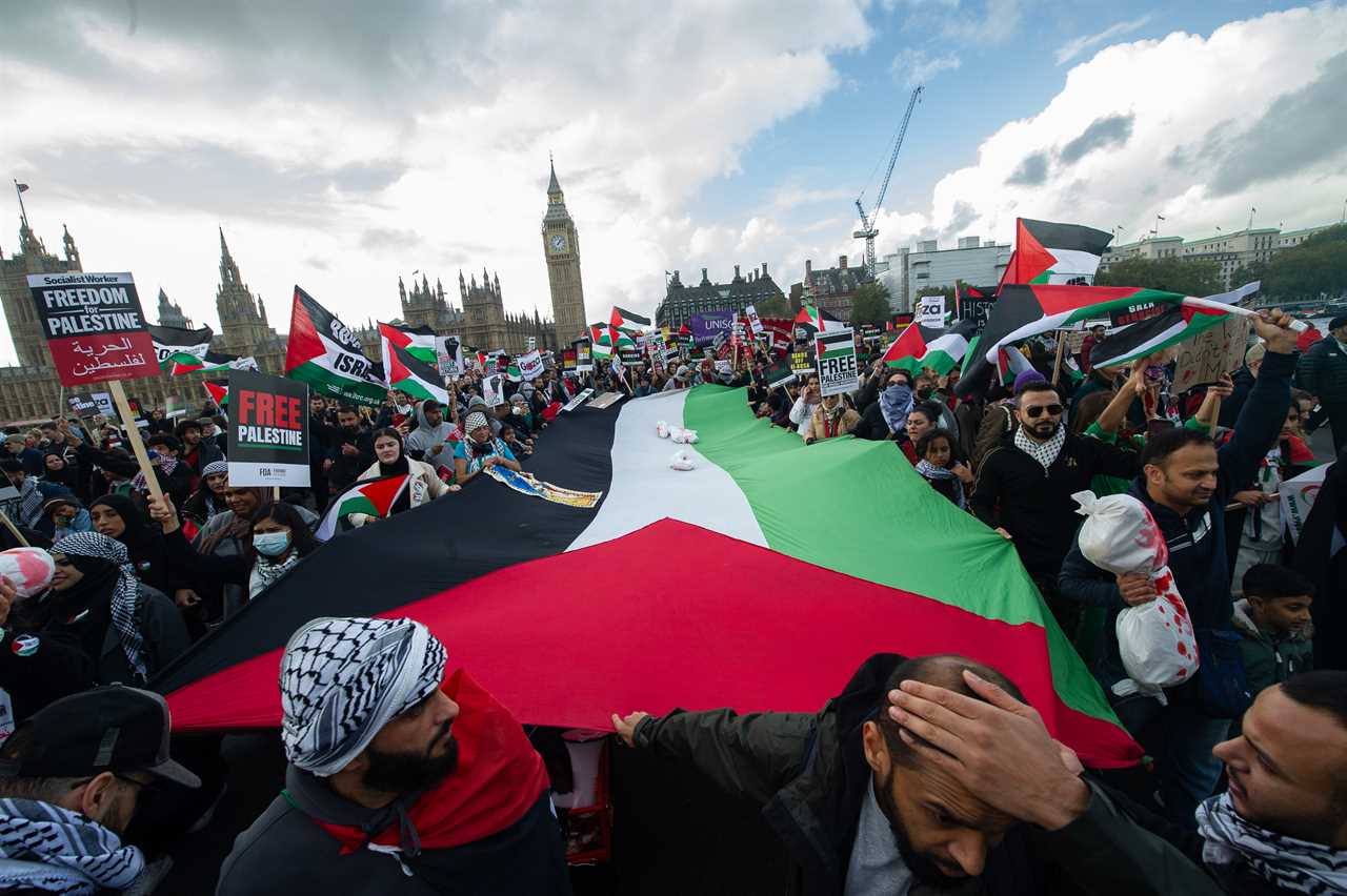 PM warns pro-Palestine protesters not to disrupt Remembrance weekend — as he orders police to be vigilant