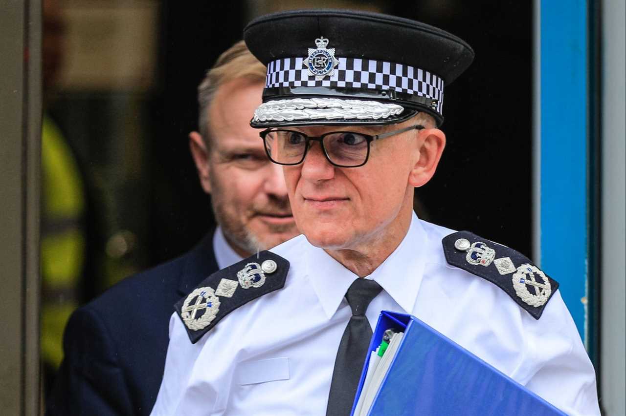 Met Police Chief Says He's Powerless to Stop Pro-Palestine Rally on Armistice Day