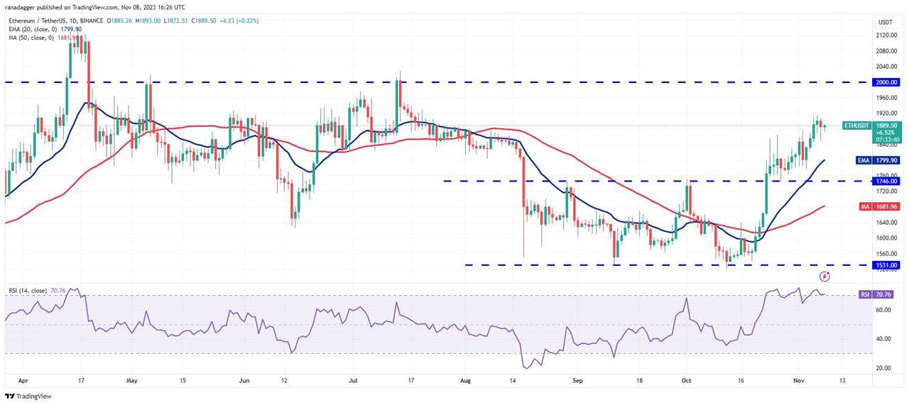 Bitcoin's Long-Term Holders Near All-Time High as Altcoins Rally