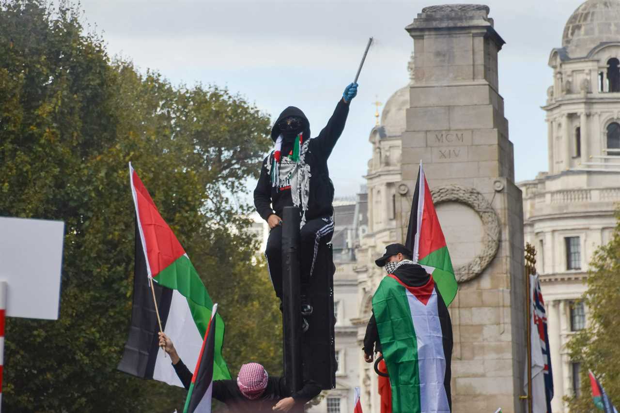 Rishi Sunak vows to hold Met Chief Mark Rowley ‘accountable’ if violence erupts at Armistice Day Palestine march