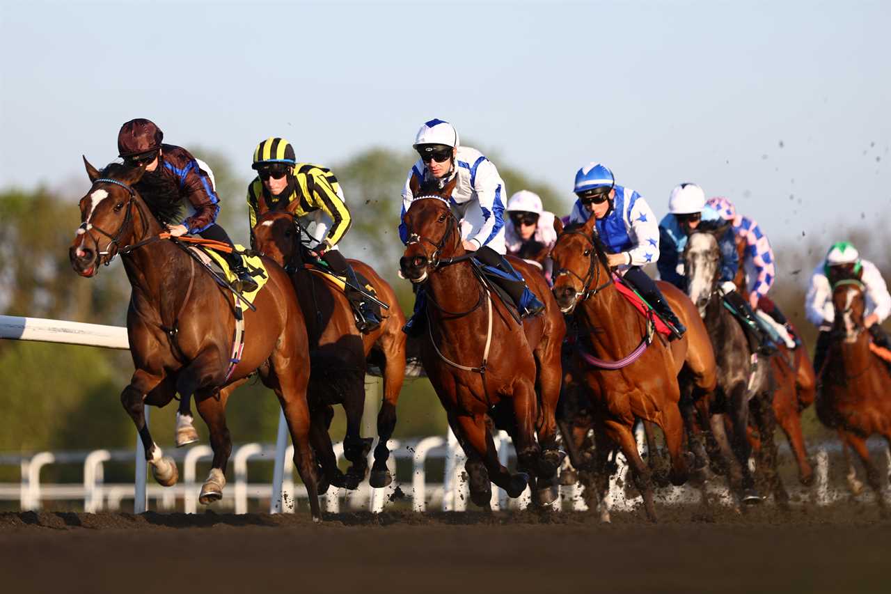 Betting industry warns of potential collapse if financial checks on gamblers are implemented