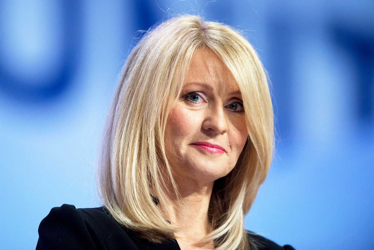 Esther McVey: A Profile of the Former Cabinet Minister and Her Personal Life