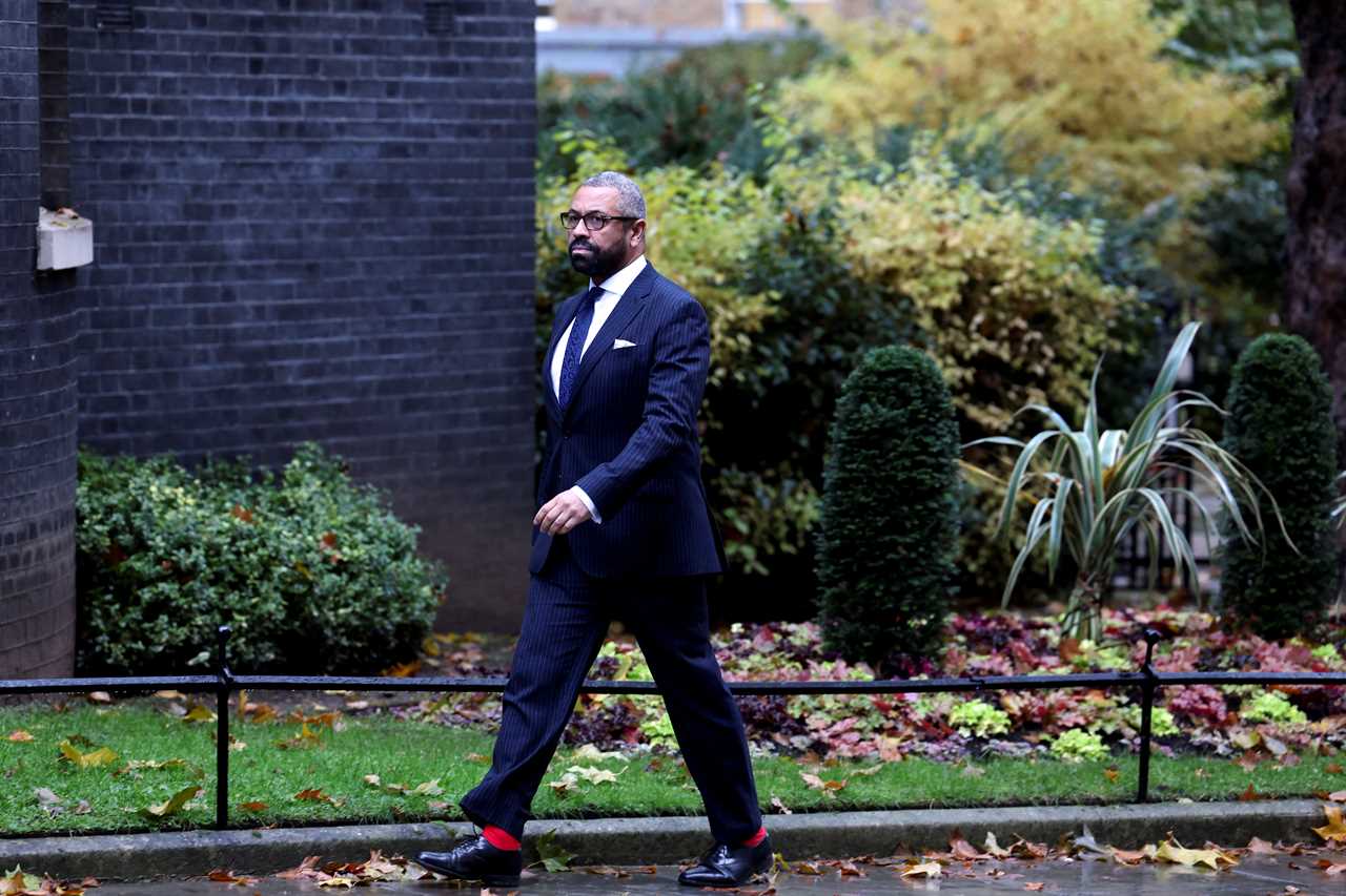 James Cleverly Appointed as UK's New Home Secretary in Major Reshuffle