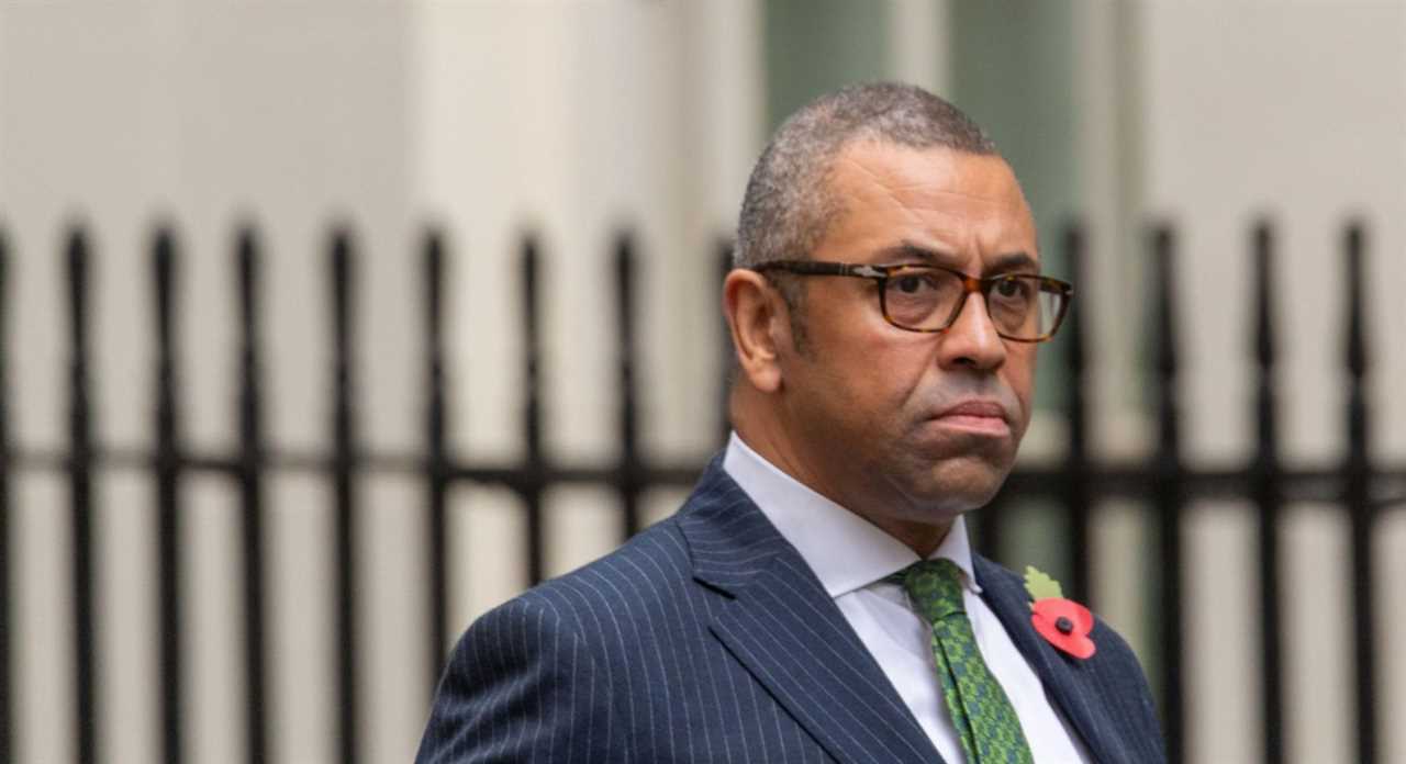 Who is Home Secretary James Cleverly?