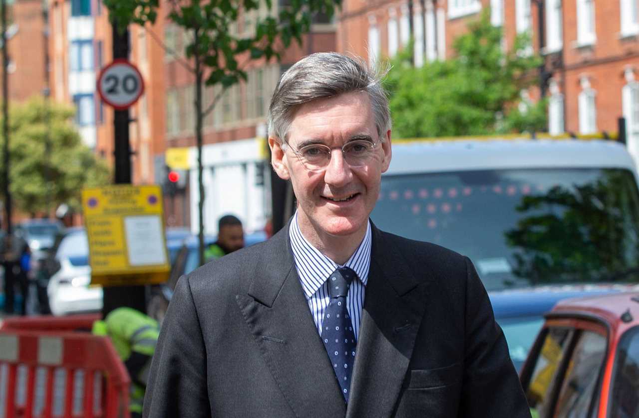 Jacob Rees-Mogg Criticizes PM Rishi Sunak's Tokenistic Appointment of Anti-Woke Minister