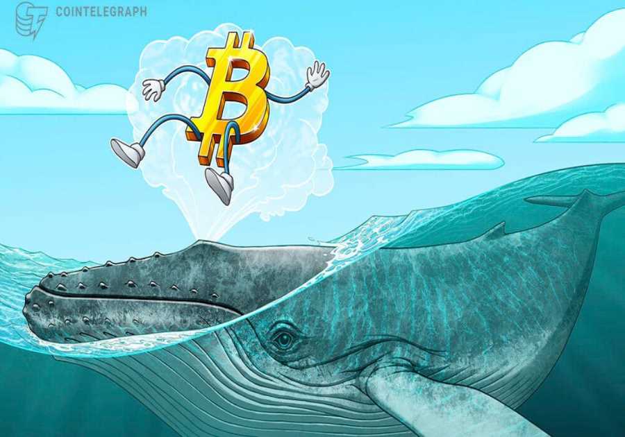 BTC Price Levels to Watch as Bitcoin Whales 'Lure' Market to $42K
