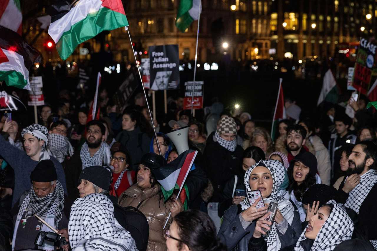 Police criticized for handling of anti-Israel protest at Parliament