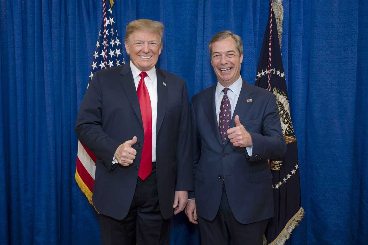 Nigel Farage Offers to Work with Labour Government to Build Bridges Between Donald Trump and Keir Starmer