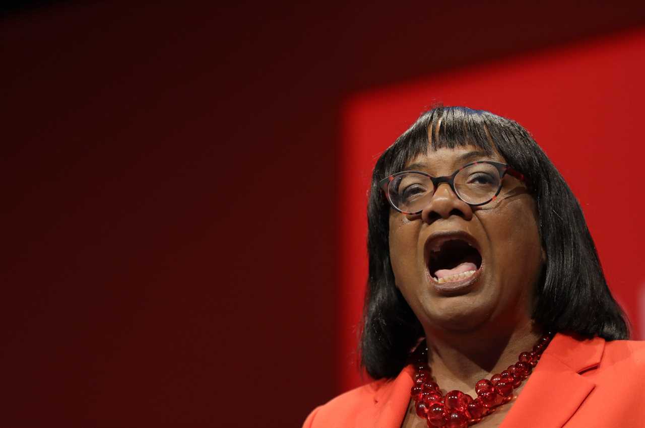 Ministers Support Tory Donor's Controversial Remarks on Diane Abbott