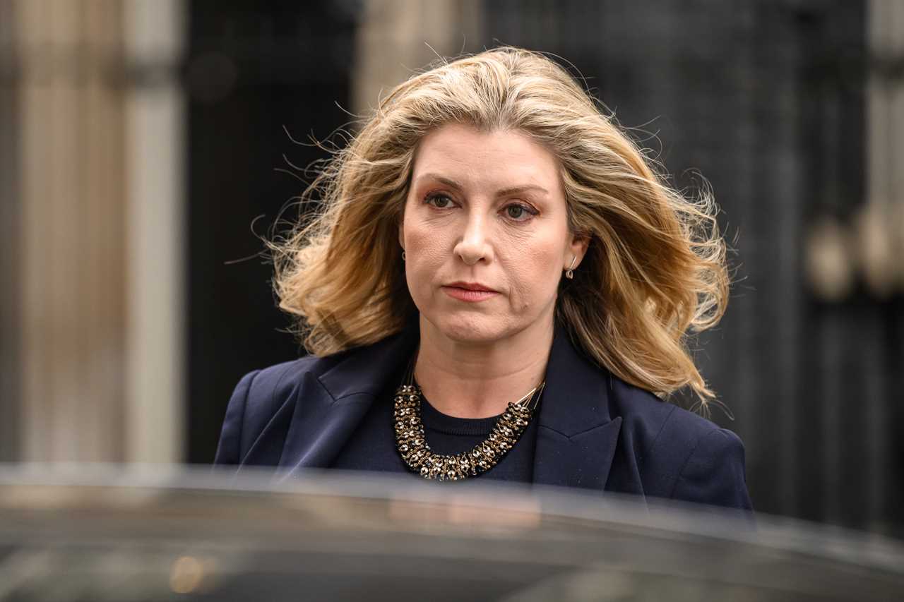 Penny Mordaunt dismisses plot to install her as PM