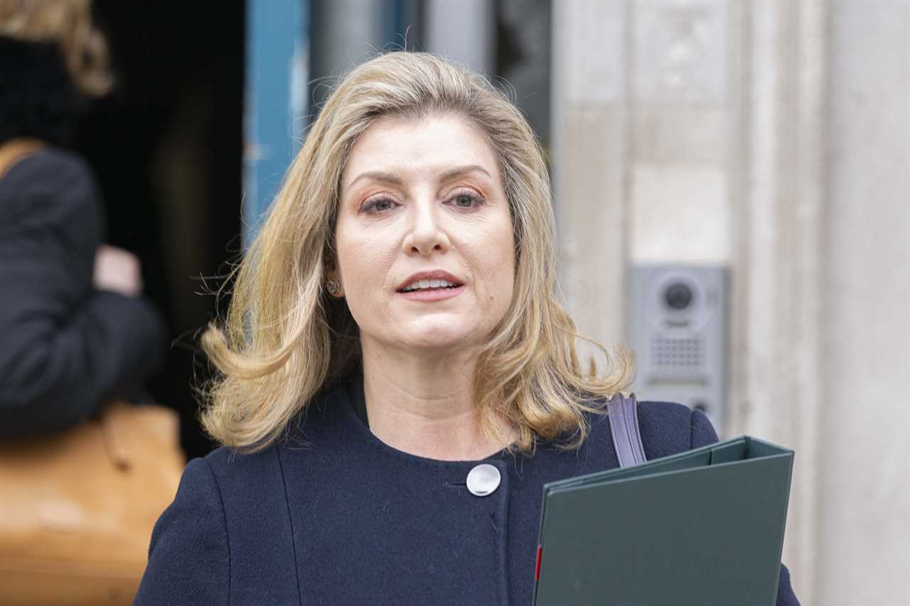 Penny Mordaunt Denies Plotting to Topple Rishi Sunak