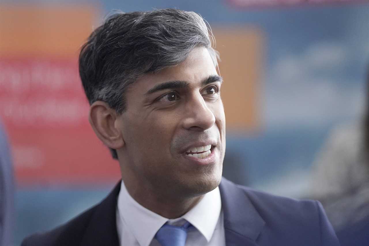 Rishi Sunak calls for £20 billion in savings from public services