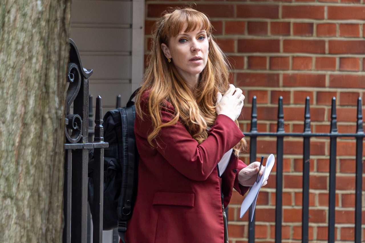 Angela Rayner embroiled in fresh housing controversy over lobbying firm donation