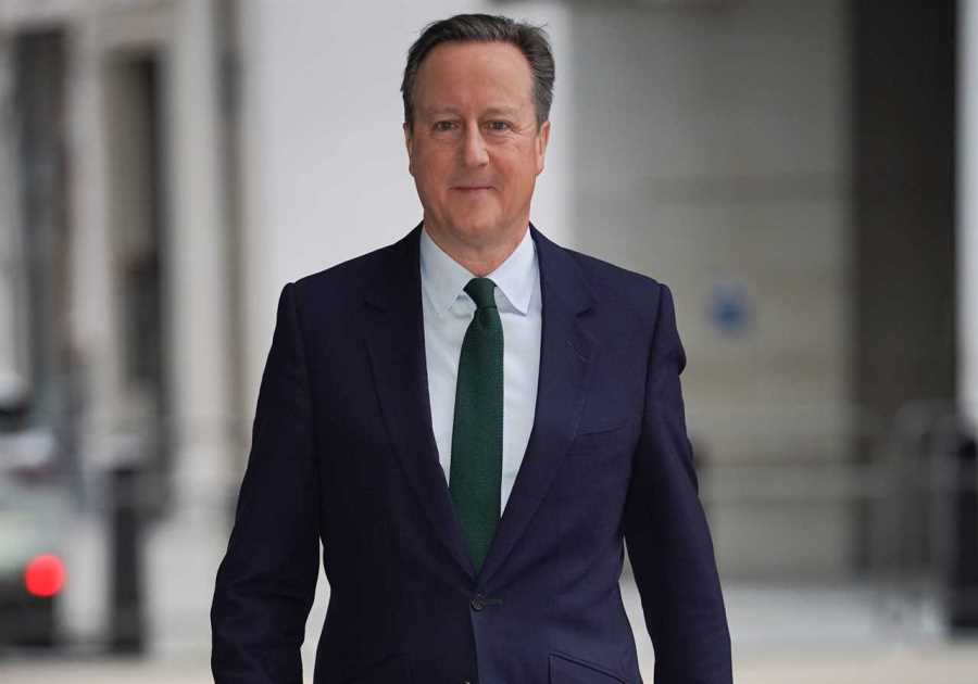 Euro judges warned of 'dangerous overreach' by Lord Cameron