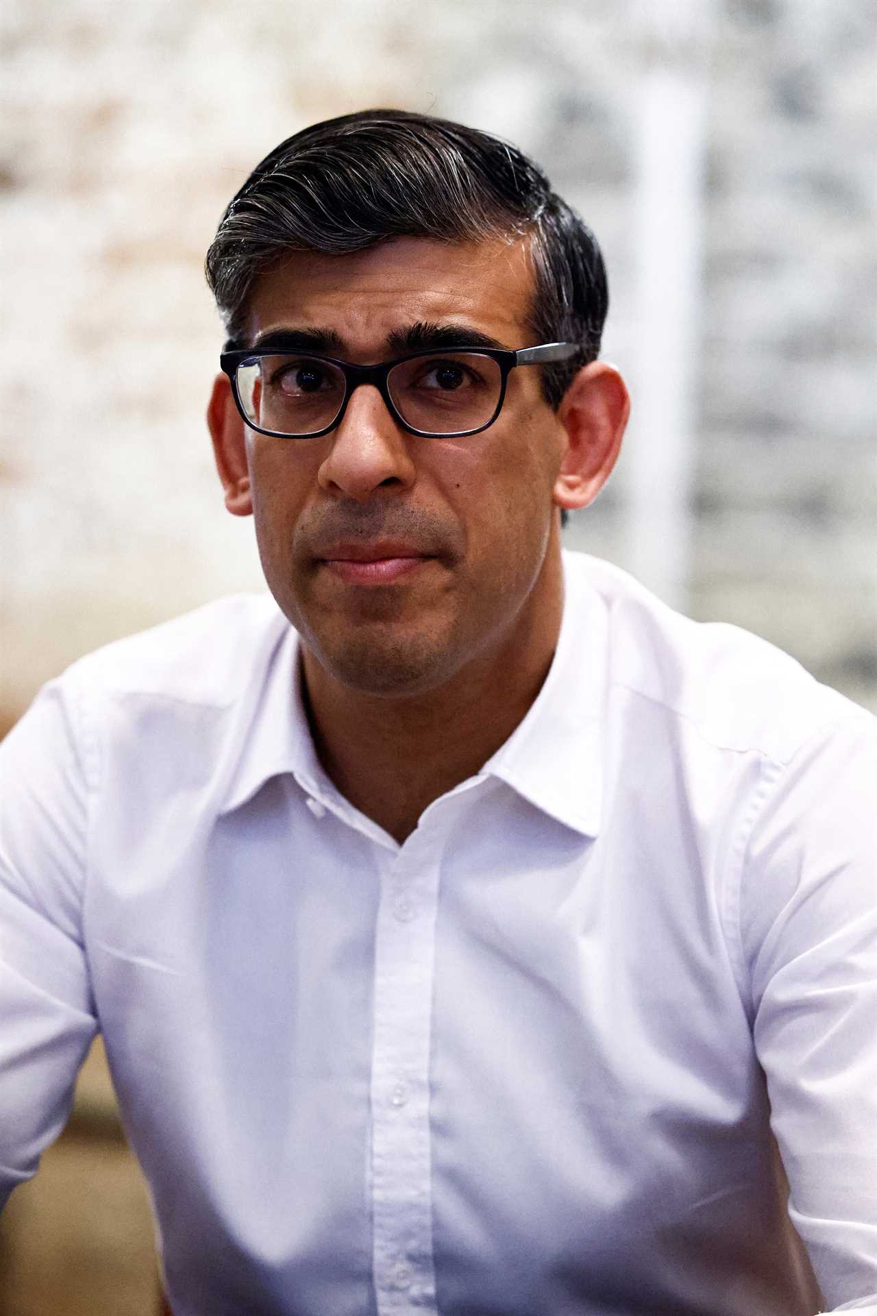 Rishi Sunak condemns Nigel Farage for claiming West provoked Russia's invasion of Ukraine