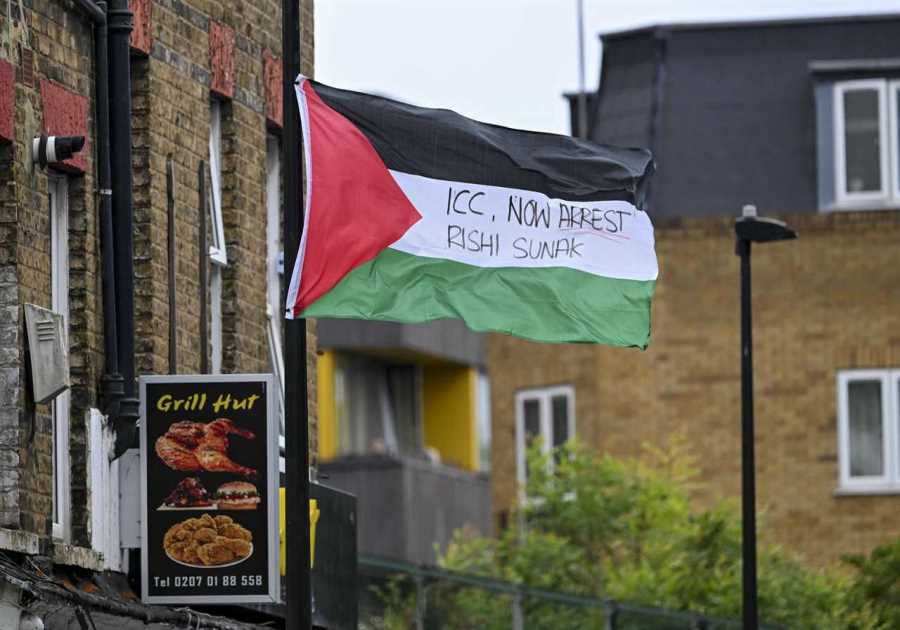 Taxpayers foot £40,000 bill to remove Palestinian flags, only to see them back up days later