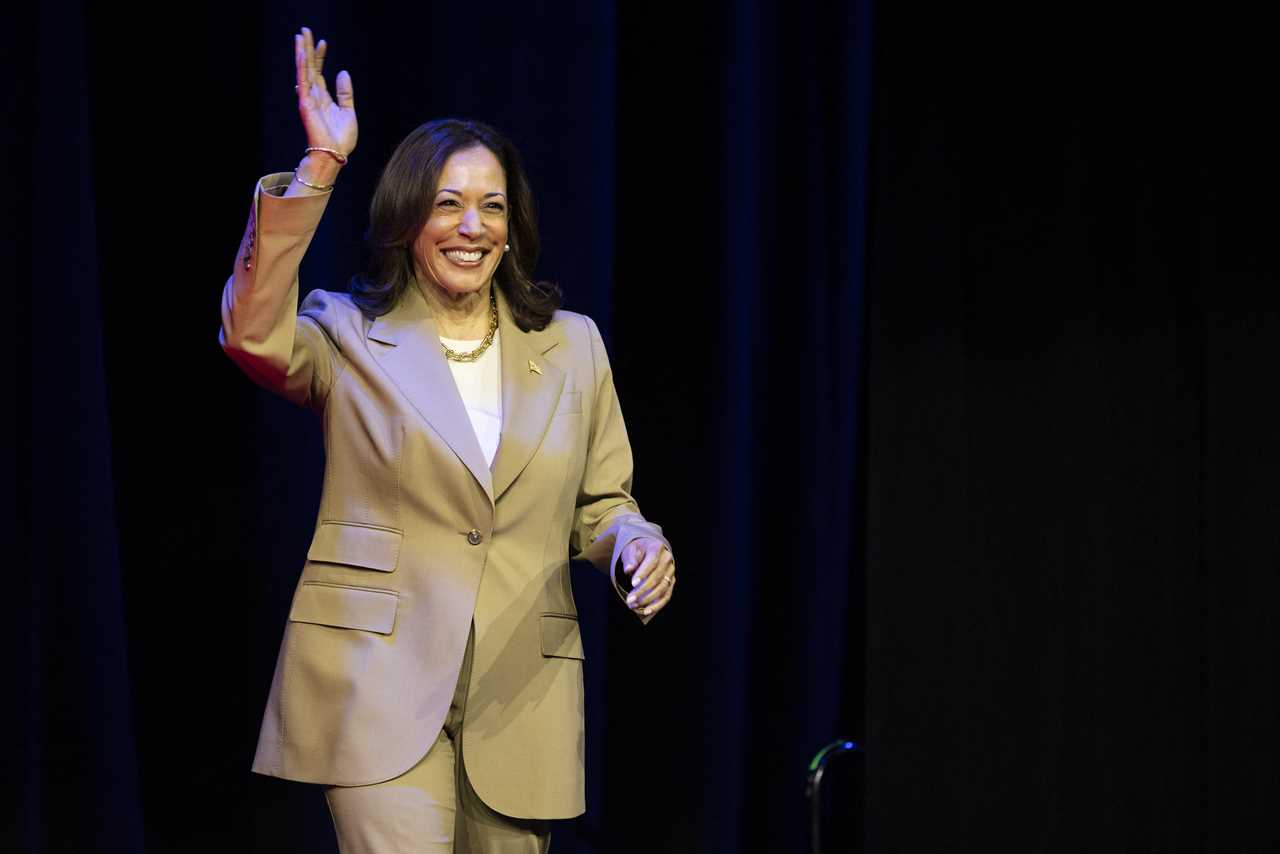 Kamala Harris to Accept Joe Biden's Endorsement After He Drops 2024 Election Bid