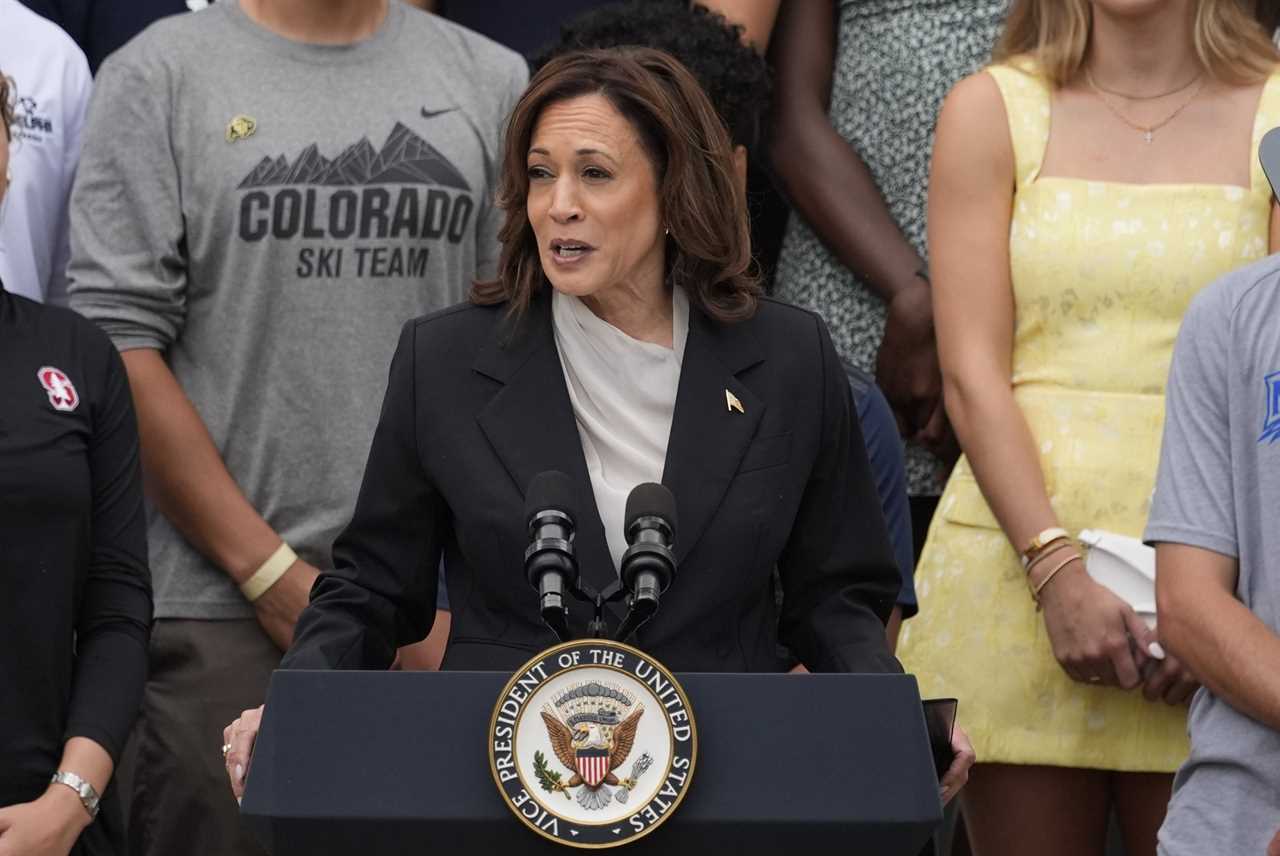 Kamala Harris gives first speech after Biden's endorsement