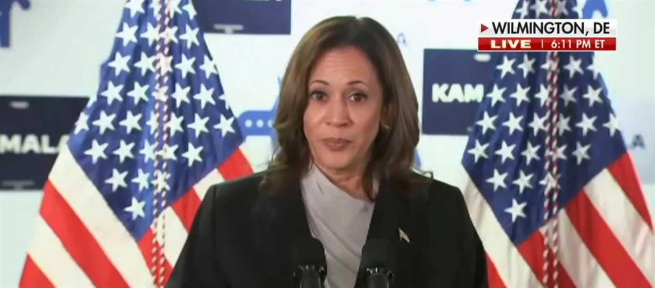 Joe Biden vows to stay put despite calls to oust him, Kamala Harris forges ahead in 2024 bid