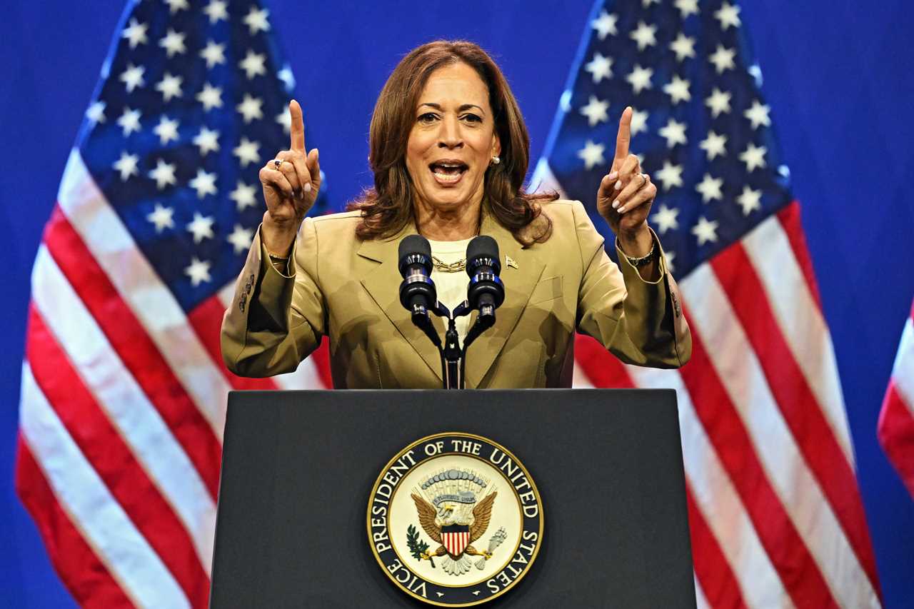 Kamala Harris raises $81 million in 24 hours, cements position as Democratic nominee