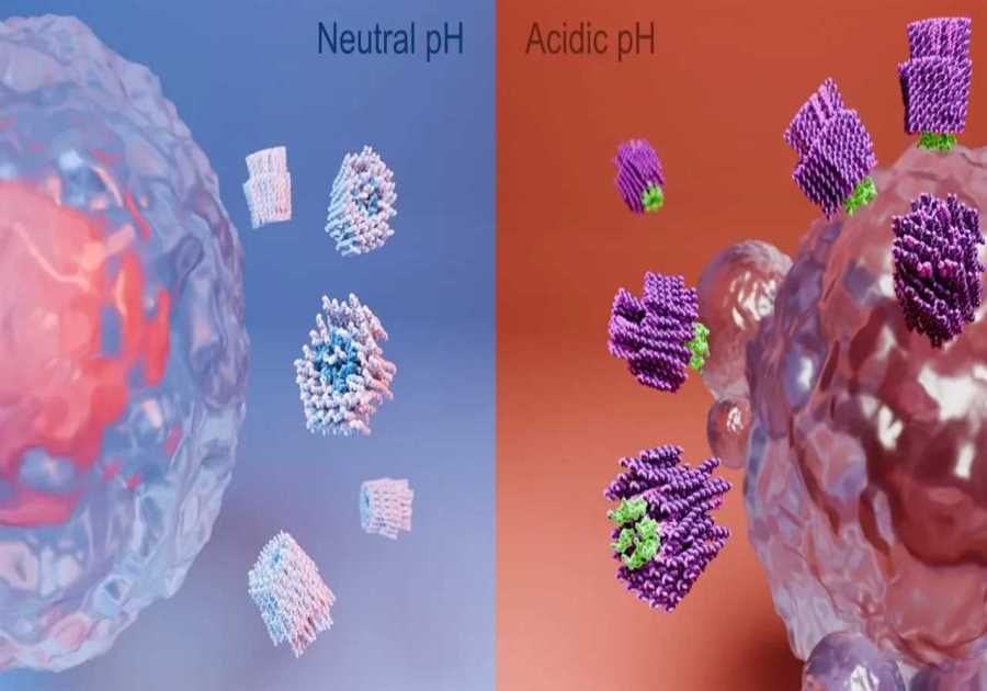 Nanorobots with 'Lethal Weapons' Eradicate Cancer Cells, Scientists Claim