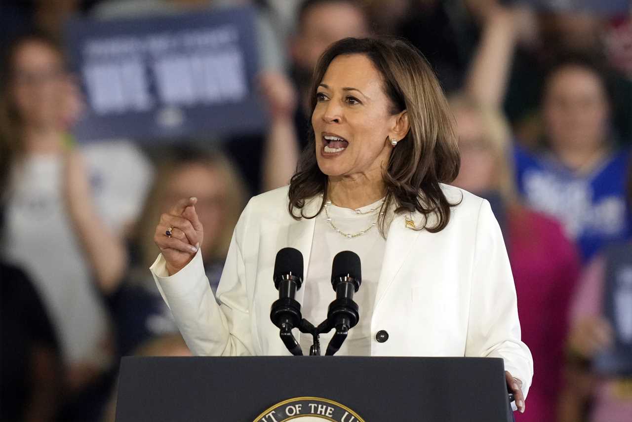 Moment Kamala Harris confronts anti-Israel protesters at campaign rally