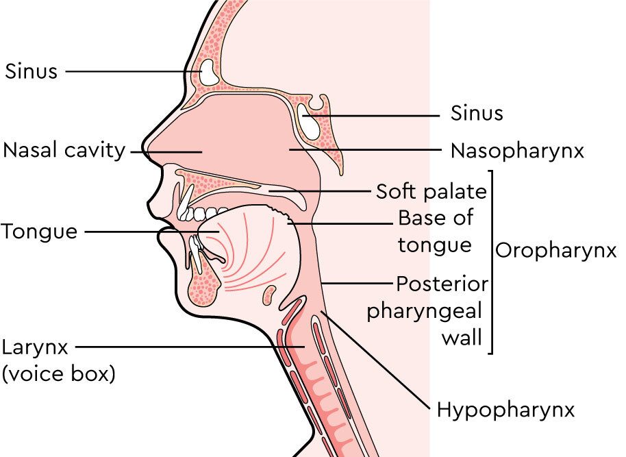 Surging Rates of Deadly Cancers Linked to Oral Sex Spark Urgent Warning - Know the 7 Signs