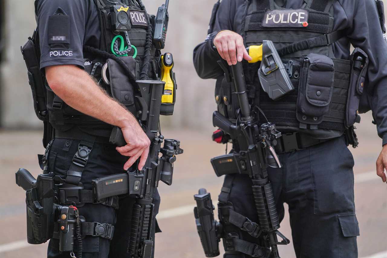 Strengthening British Policing for the Future