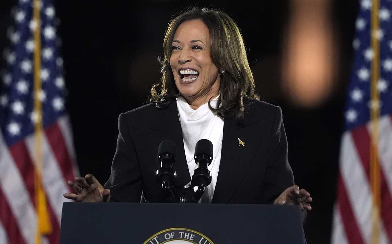 Kamala Harris slams Donald Trump in closing election speech