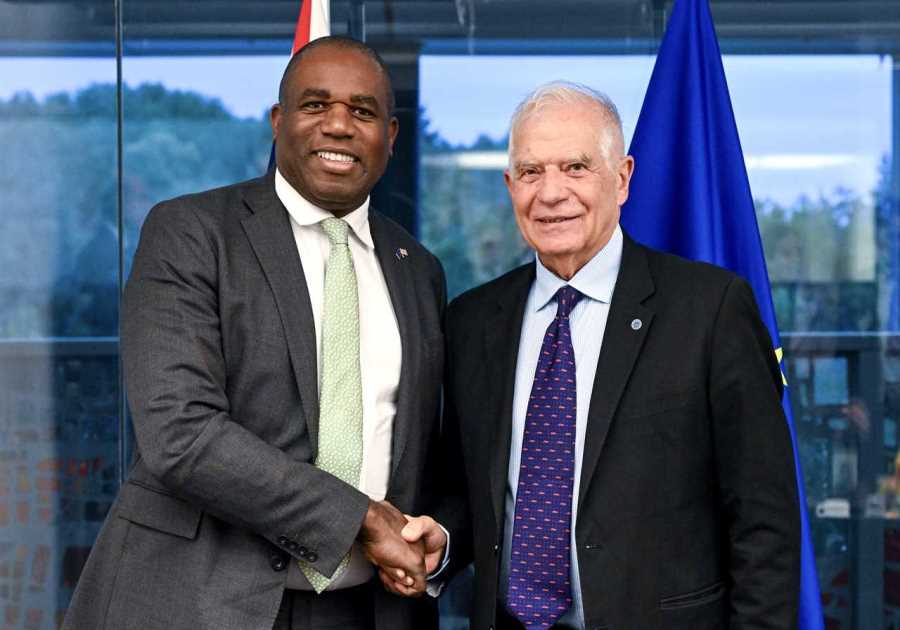 David Lammy advocates for closer ties between Britain and EU