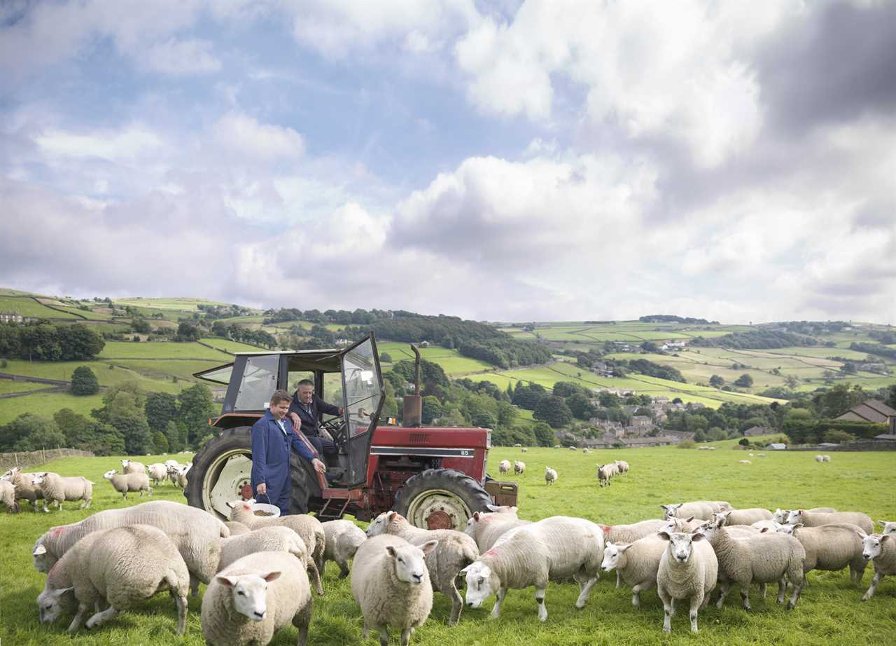 British Farmers Ready to Go Militant Over Budget Tax Hike, NFU Chief Warns