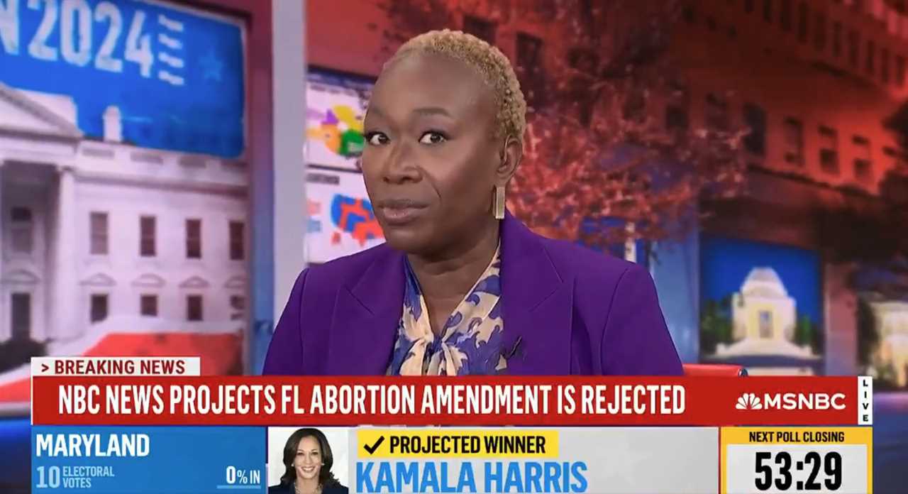 News anchor Joy Reid sparks controversy after live TV meltdown over Florida abortion amendment