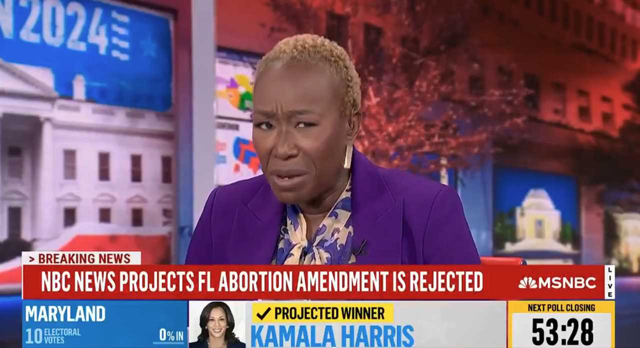 News anchor Joy Reid sparks controversy after live TV meltdown over Florida abortion amendment