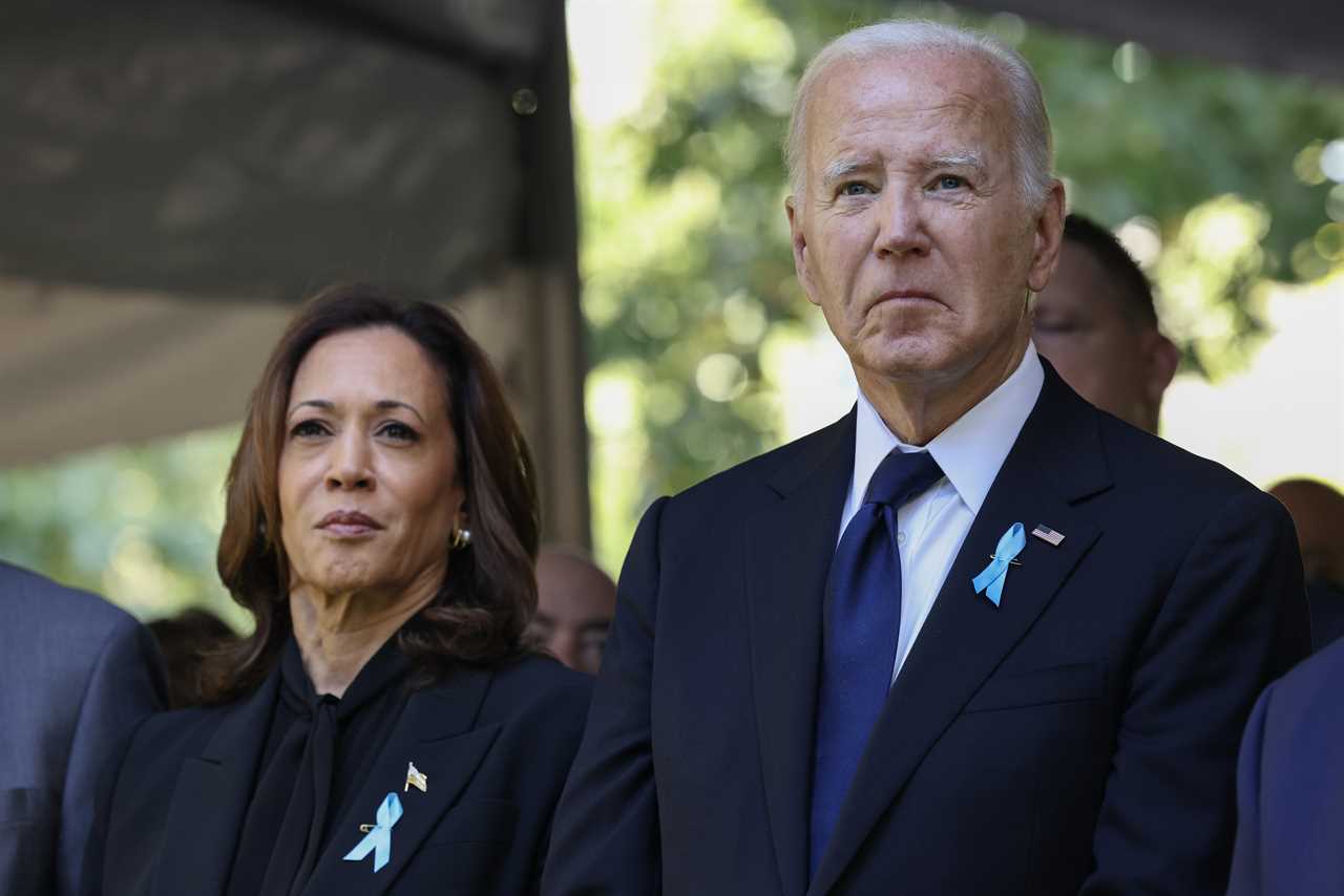 Joe Biden Snubs Kamala Harris on Election Night