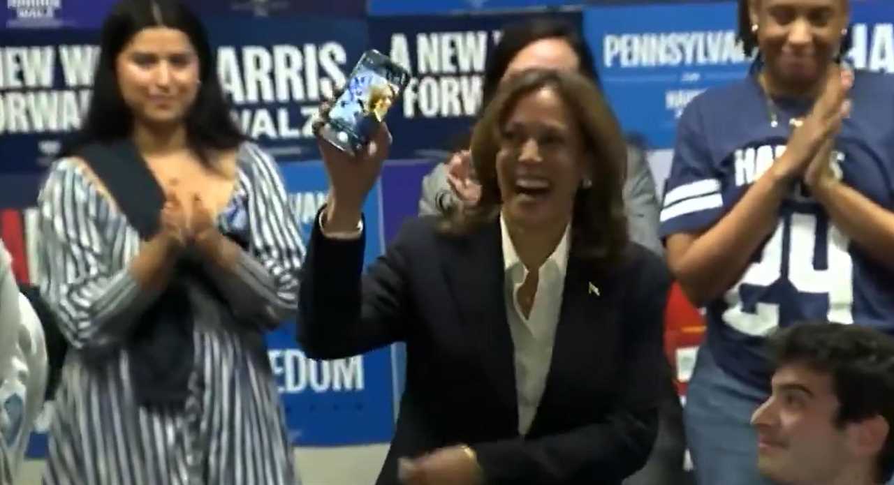 Kamala Harris accused of faking phone call with voter as US election hangs in the balance