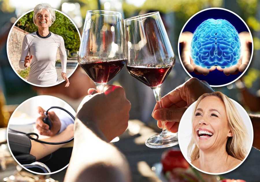 Red Wine: The Secret Health Benefits Unveiled