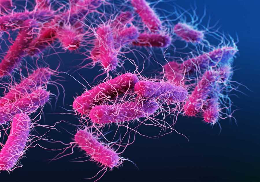 Scientists Find Potential in Salmonella to Combat Cancer