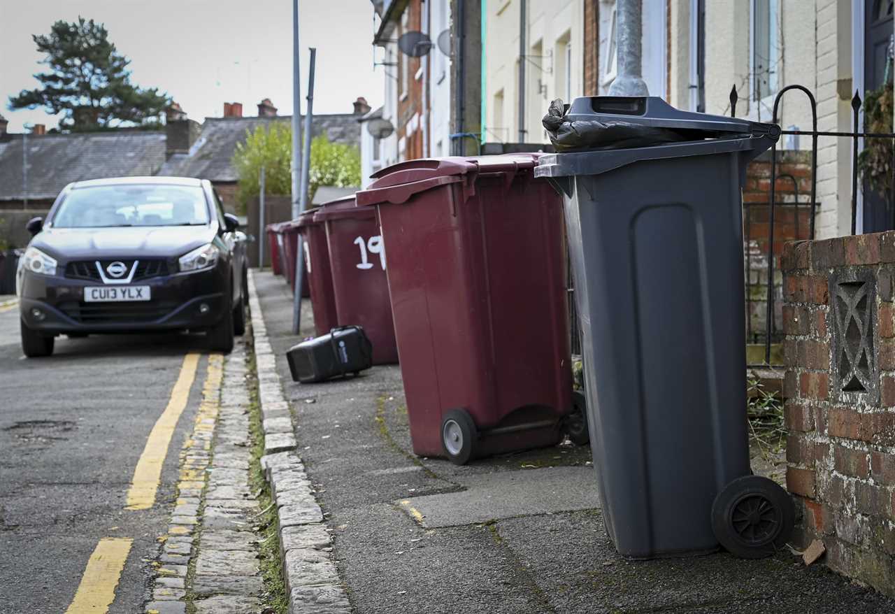 Labour's New Bin Rules Could Lead to Rotting Rubbish and Soaring Council Tax Bills