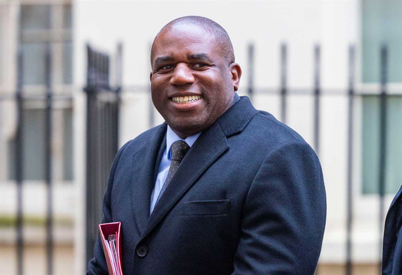 David Lammy: Donald Trump has 'no greater friend' than Britain