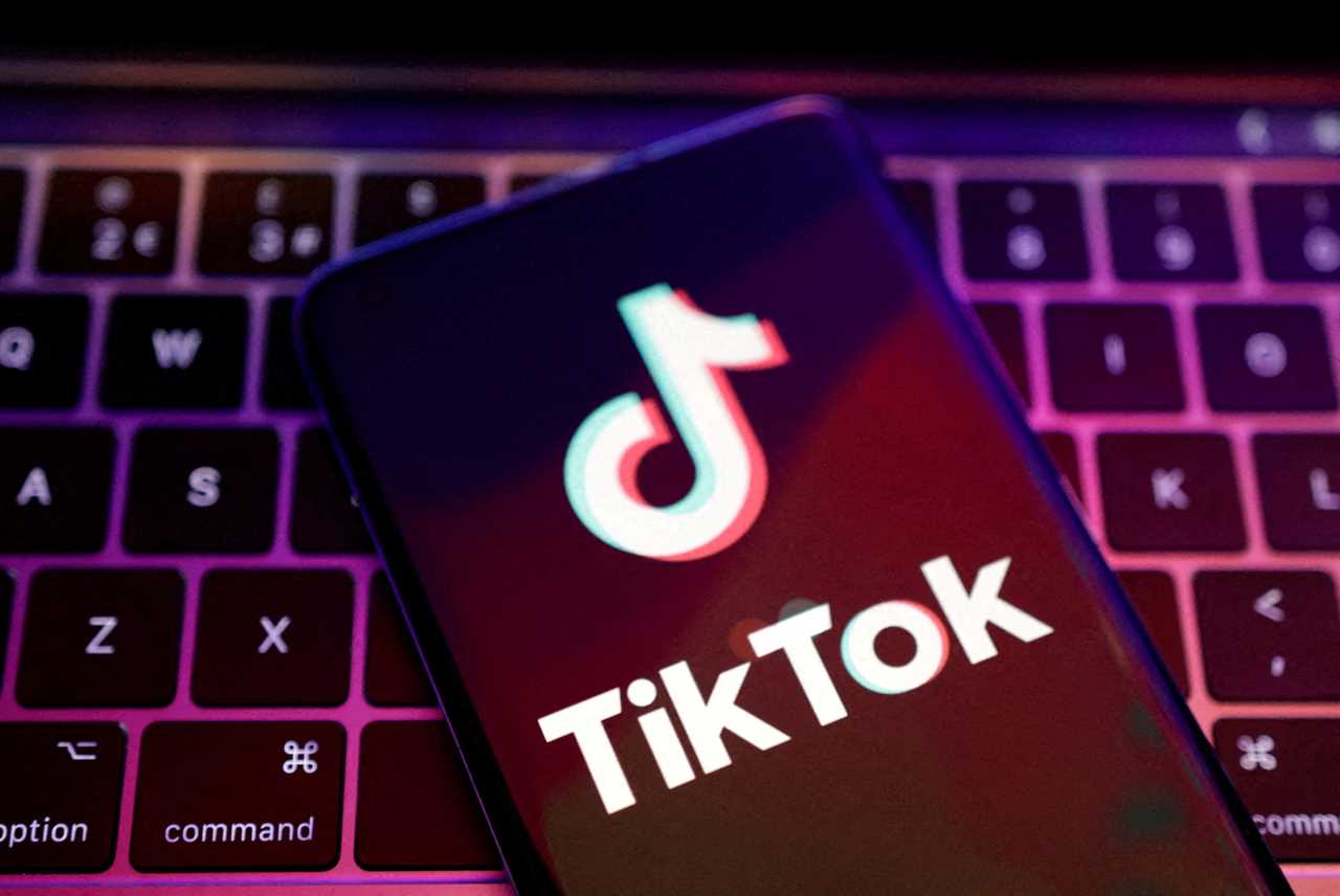 UK Data Security at Stake: TikTok Escapes Ban as Government Blocks Preventative Measures