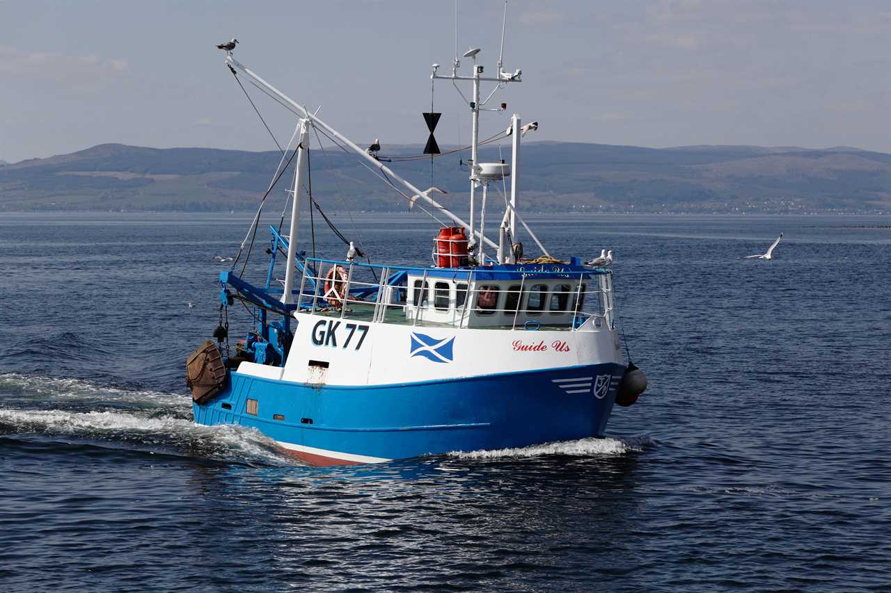 Analysis: Complex Brexit Fishing Dispute Raises Concerns of UK Betrayal