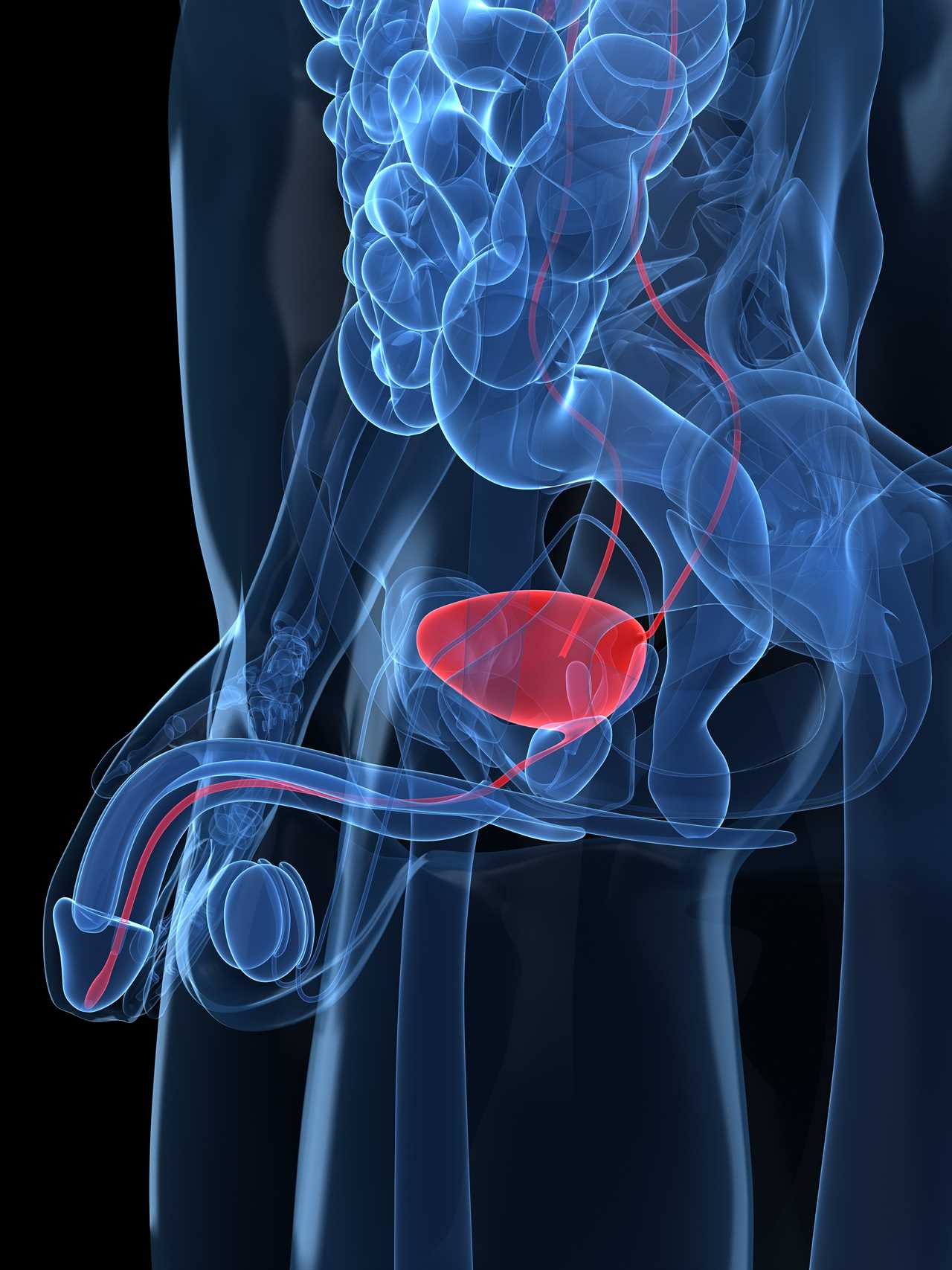 Understanding Prostate Cancer: Nuances in Detection, Treatment, and Public Health