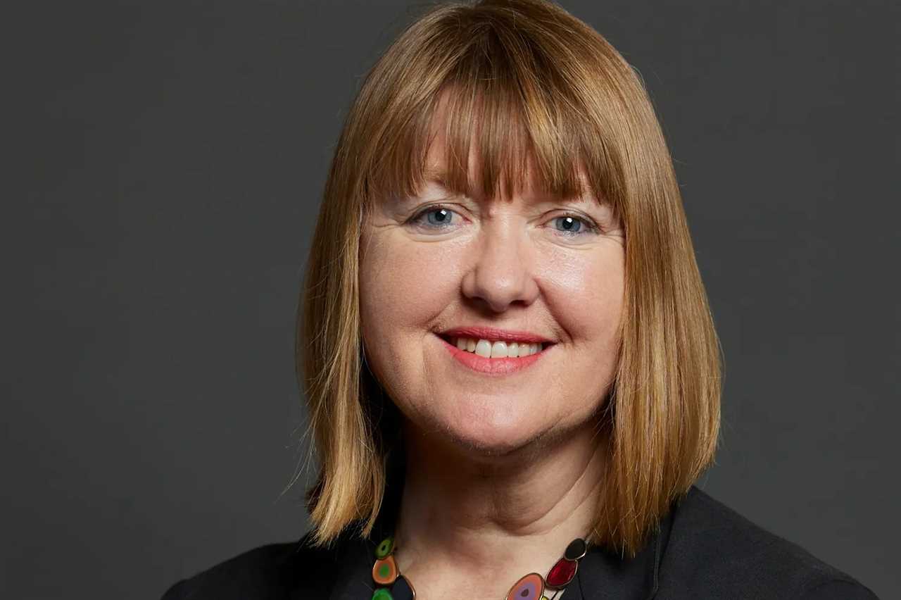 Examining Ethical Quandaries: MP Expenses and Public Accountability in the UK