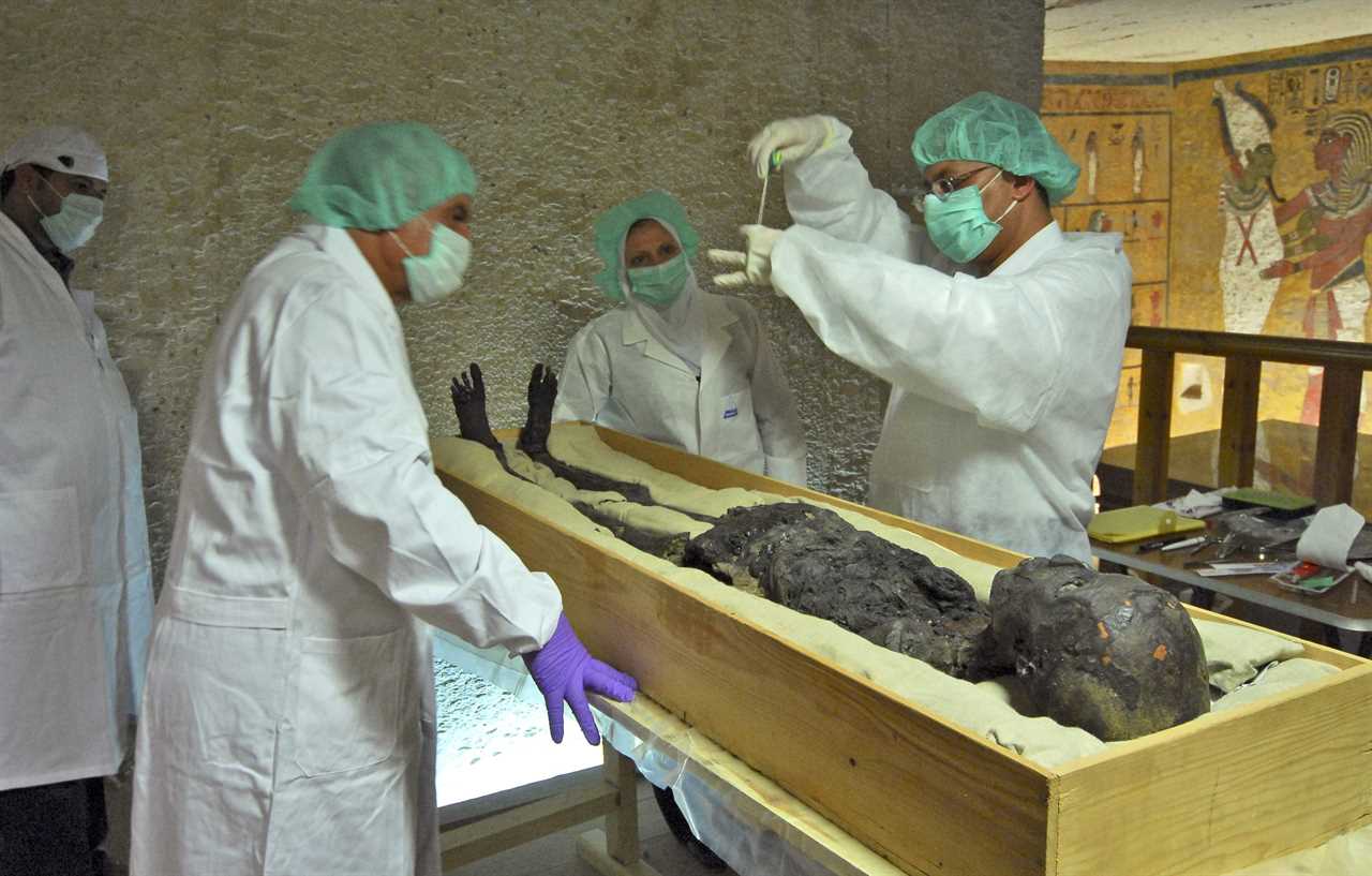 Exploring the Potential of Ancient Fungus in Cancer Treatment Advancements