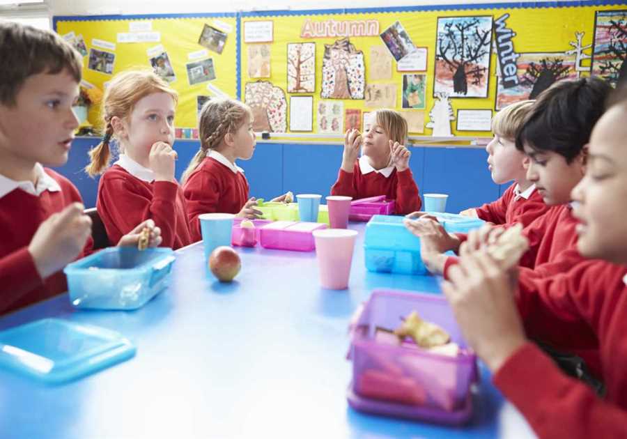 Enhancing Social Equity: Expansion of Free School Meals Programme to Reach Half a Million More Children