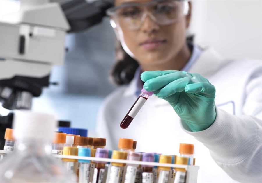 Breakthrough Pancreatic Cancer Blood Test Trial Seeks Participants for Early Detection