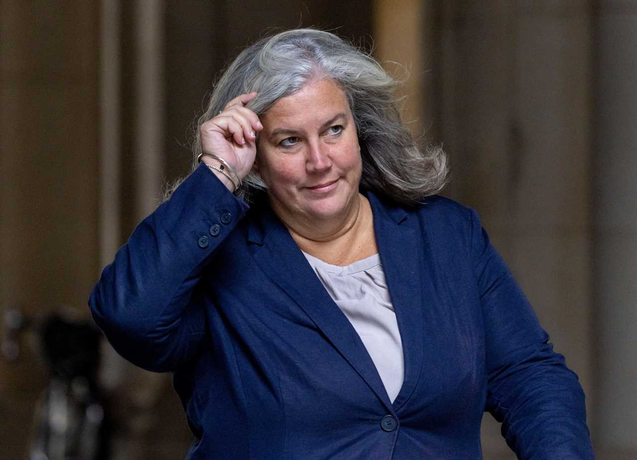 Challenges and Commitments: UK Transport Secretary's Electric Vehicle Dilemma