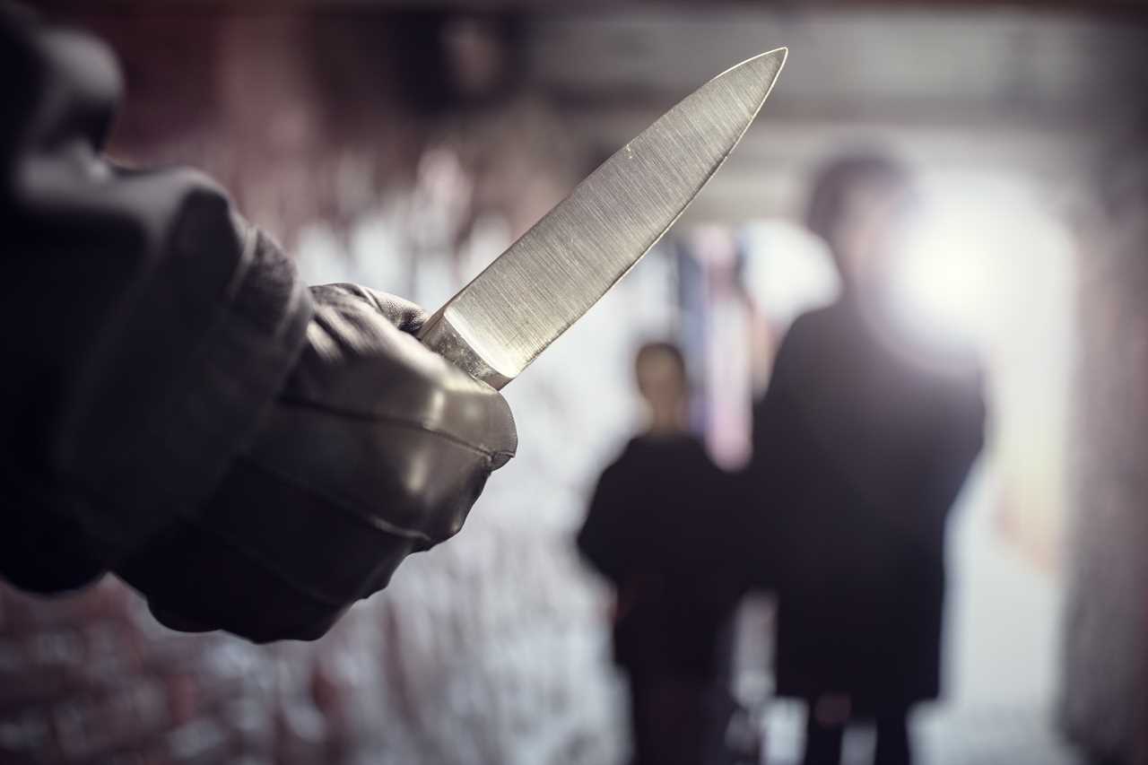 Public Perception Challenges Government and Police Efficacy in Crime Control