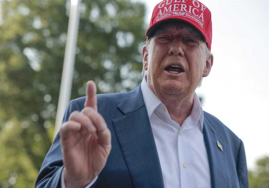Analysis: Trump's Threat to Expel Elon Musk Reveals Power Play Over Electric Vehicles