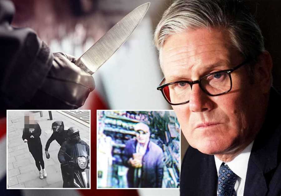 Public Perception Challenges Government and Police Efficacy in Crime Control